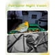 thumbnail image 5 of Comedero para aves Camojojo Hibird 4K HD con IA, WiFi dual para exteriores, 5 of 8