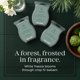 thumbnail image 4 of Cápsulas de Cera Iced Balsam de Scentsy 235 g (Pack de 3), 4 of 4