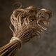 thumbnail image 4 of Ramo curly ting ting natural 70 cm, 4 of 5