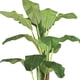 thumbnail image 5 of 2 X 1 Plantas Artificiales Banano 180 Cm Verde, 5 of 9