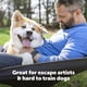thumbnail image 4 of Collar de valla eléctrico PetSafe Stubborn Dog, impermeable, 4 of 7