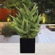 thumbnail image 4 of Planta Decorativa Artificial Bamboo en Maceta Negra, 4 of 4