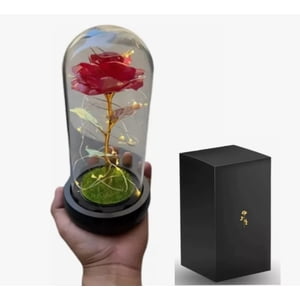 Riqui - Rosa Eterna Rosa Bella Multicolor