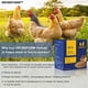 thumbnail image 3 of Larvas secas de mosca soldado negra GRUBSFARM para pollos, 2,27 kg, 3 of 9