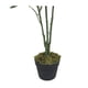 thumbnail image 4 of Planta Artificial Palmera 120 cm, 4 of 11