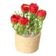 thumbnail image 2 of Mini Casa De Muñecas Flor Rosa Paisaje Estático Modelo 1/6 Decoraciones DIY Para Casa De Muñecas Rojo, 2 of 5