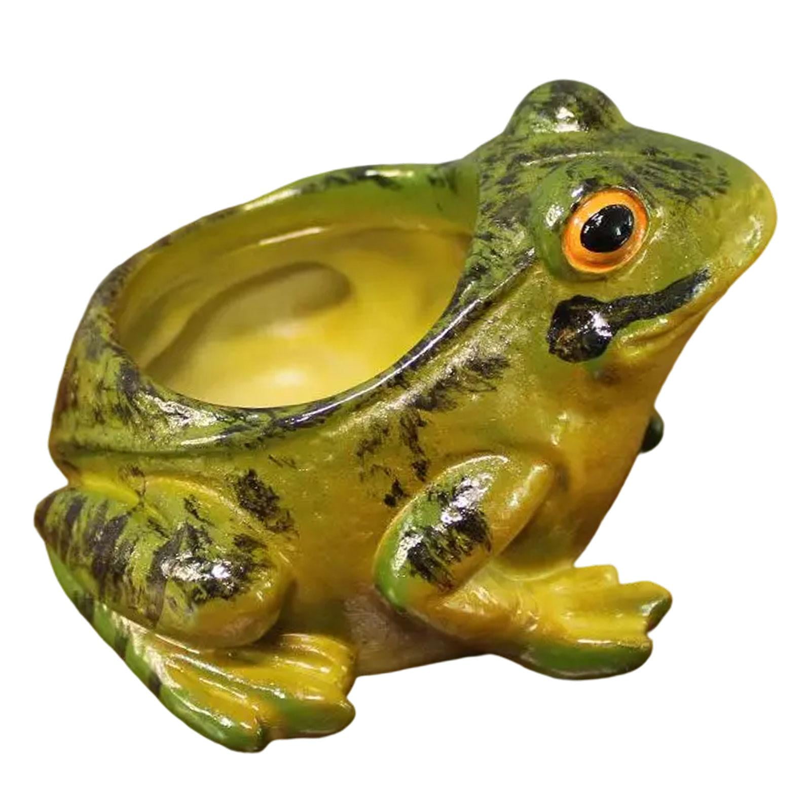 Ioensy - Maceta De Resina Con Forma De Rana, Ideal Como Regalo De Cumpleaños O Para Decorar Tu Jardín, Cafetería O Terraza.