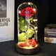 thumbnail image 4 of La bella y la bestia de Eternal Rose con luz LED en cúpula de cristal, 4 of 9