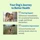 thumbnail image 5 of Suplemento Pet Wellbeing Throat Gold para perros 120 ml, 5 of 9