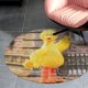 thumbnail image 4 of Big Bird / Pájaro Grande Alfombra Redonda de Felpa Coral, Antideslizante, No Desprende Pelusas, Lavable y Duradera para Salón, Dormitorio y Habitación de Niños 60cm, 4 of 6