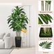 thumbnail image 3 of Ciervo volador artificial con forma de árbol de dracaena de 6 pies con maceta negra alta, 3 of 6