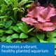 thumbnail image 4 of Plant Treatment API CO2 Booster 473 ml para acuarios de agua dulce, 4 of 6