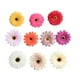 thumbnail image 3 of 10 piezas de gerbera artificial margarita flores cabezas para bricolaje mezclado, 3 of 3