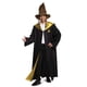 thumbnail image 3 of Sombrero Seleccionador de Harry Potter para adulto, marrón, 3 of 4