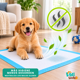 thumbnail image 5 of 40 Pañales Sabanillas Entrenamiento Absorbentes Mascota Perros 60x60cm, 5 of 7