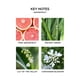 thumbnail image 3 of Frascos de recarga para difusor de pared NEST New York Grapefruit, 40 ml x 2, 3 of 7