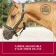 thumbnail image 2 of Cabezada para Caballo Weaver Equine Grande Ajustable 2,5 cm, 2 of 5