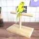 thumbnail image 2 of Pequeño perche de pájaro,Bird Play Stand,Portable Training Parrot Playstand,Juguetes de jaula de pájaros para Cockatiels Conures Parakeet Finch Lovebirds, 2 of 3