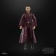 thumbnail image 3 of Figura de acción STAR WARS The Black Series Padmé Amidala 15cm, 3 of 8
