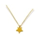 thumbnail image 1 of Cadena Colgante Urna Cremacion Estrella Chapado En Oro 18k Con Set Para Verter Las Cenizas, 1 of 3