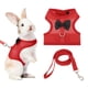 thumbnail image 1 of Arnés y Correa para Conejos Uxcell, Arnés de Chaleco Lindo para Mascotas Pequeñas, Correa Ajustable Suave de Malla Transpirable (M, Rojo), 1 of 7