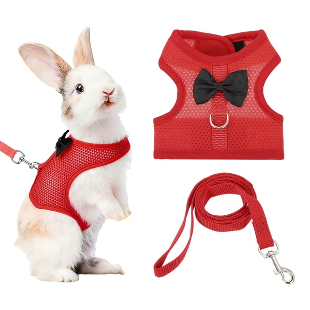 Arnés y Correa para Conejos Uxcell, Arnés de Chaleco Lindo para Mascotas Pequeñas, Correa Ajustable Suave de Malla Transpirable (M, Rojo)