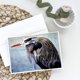 thumbnail image 3 of Tarjetas de Felicitación Caroline's Treasures – Pack de 8 (13 × 18 cm), 3 of 3