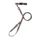 thumbnail image 5 of Collar Ajustable Pendleton Serape Rosewood para Perro, 5 of 9