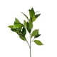 thumbnail image 2 of Rama Magnolia Verde 104cm Artificial, 2 of 3