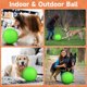 thumbnail image 5 of Pelota QDAN de 24 cm para perros grandes – Juguete de pastoreo, 5 of 8