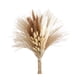 thumbnail image 1 of Ramo Hierba de Pampa Natural Multicolor, 1 of 3