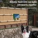 thumbnail image 3 of Solar Rat Control Device Garden Balcony Household Ultrasonic Animal Driven QuNiao Device, 3 of 4