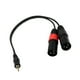 thumbnail image 2 of Cable Bifurcador De 3,5 Mm Estéreo De 1/8" A Doble XLR Macho, 2 of 4