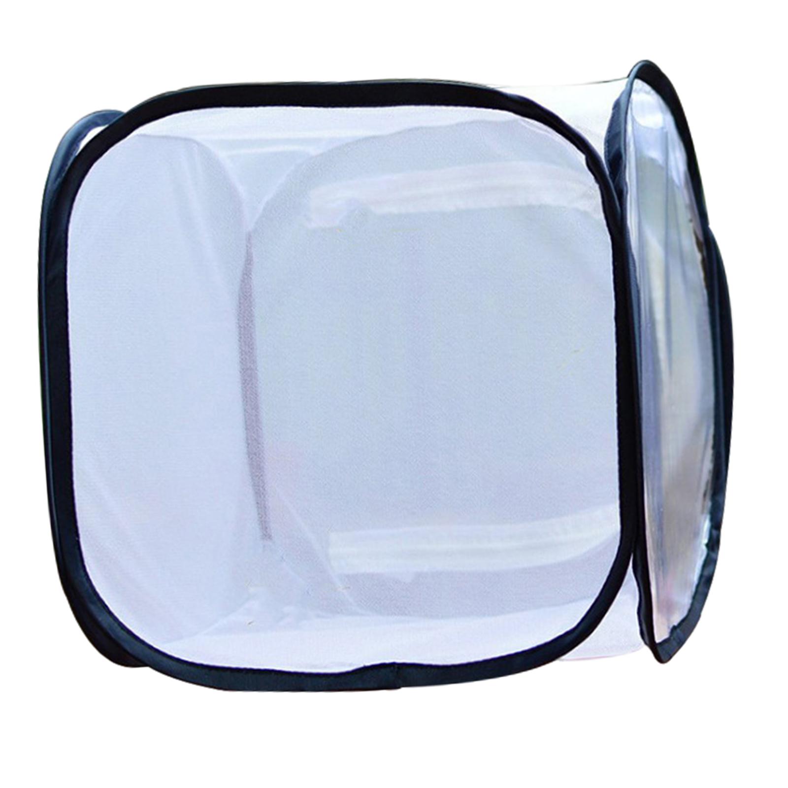 Magideal - Incubadora De Plántulas De De Cría De Transmisión De Jaula De Malla De Plegable Hábitat De Mariposa Plegable Para Observación De La