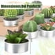 thumbnail image 3 of Pack 12 velas cactus decorativas, 3 of 3