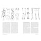 thumbnail image 3 of Anatomía Artística 3. El Esqueleto, 3 of 6