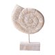 thumbnail image 3 of Estatua De Madera Para Mesa De Playa, Decoración Artística, Figura Para Ba?o, Playa, Casa De Campo, Forma De Caracola, 3 of 5