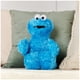 thumbnail image 2 of Peluche GUND Sesame Street Cookie Monster Muppet 30 cm azul, 2 of 9