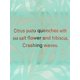 thumbnail image 2 of Colonia Seaside Surf Victoria's Secret EDT Mujer 250 ml, 2 of 2