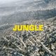 thumbnail image 1 of Álbum Jungle de naïve, 1 of 1