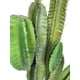thumbnail image 2 of Suculenta Verde Oscuro 110cm Con Detalles Increíbles, 2 of 3