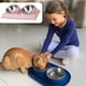 thumbnail image 4 of Comedero inclinado Dress you go para bulldog francés y gatos, comida de fácil acceso, 4 of 5