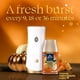 thumbnail image 2 of Recarga de ambientador Glade Calabaza y Jengibre 177 ml (2 unidades), 2 of 7