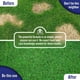 thumbnail image 4 of Neutralizador de orina para césped Turf Titan K9 Correcter 946 ml, 4 of 9