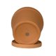 thumbnail image 2 of DECOGREEN MACETERO TERRACOTA CLASICA  S 16X18 CM, 2 of 3