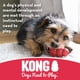 thumbnail image 5 of Juguete Para Morder Puppy Goodie Bone Con Cuerda Para Cachorros Xs, 5 of 6