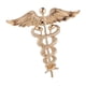 thumbnail image 1 of Hombres Alas De ángel Traje Broche Insignia Pines Collar Solapa Ramillete Dorado, 1 of 3