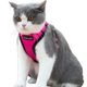 thumbnail image 1 of Arnés para gatos Mr. Peanut's PurrTrek Reflective con correa rosa XS, 1 of 9