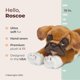 thumbnail image 2 of Peluche de peluche Bearington Roscoe Boxer Dog 38 cm, 2 of 6