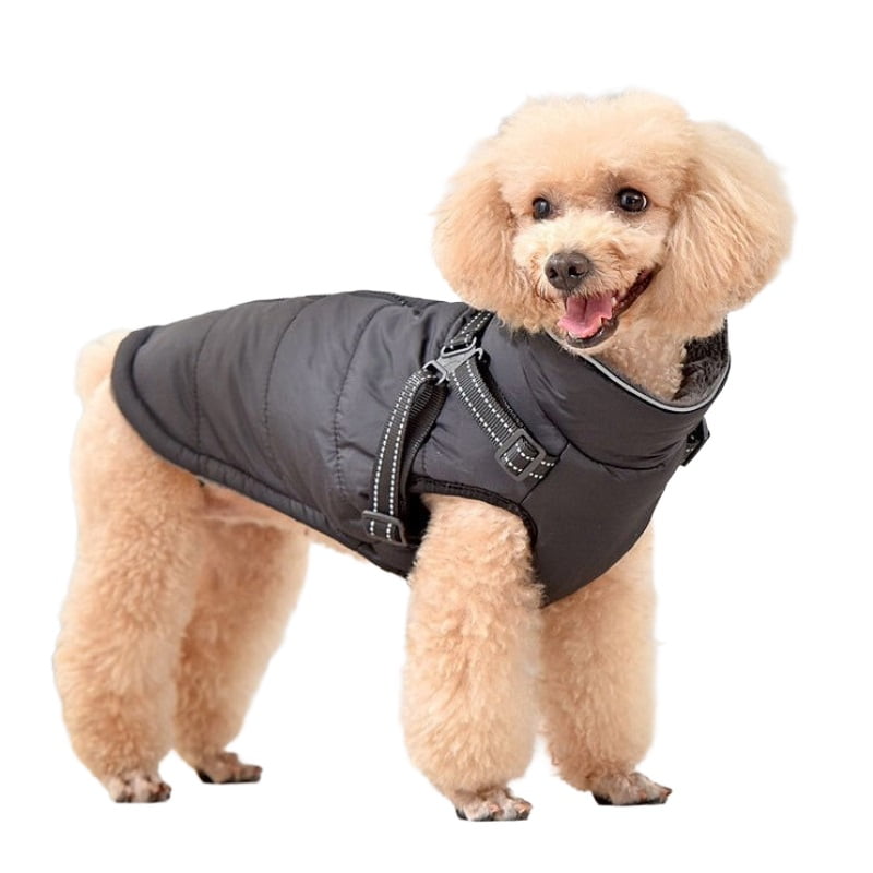 Winpet - Parka Impermeable Para Perros Medianos, Con Arnés, Reflectante -2xl